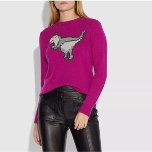 COACH - Pixel Rexy Sweater